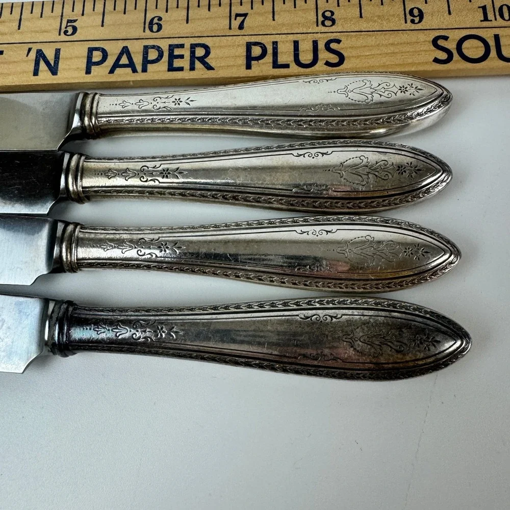 1847 Rogers Bros Argosy Silverplate Dinner Knives Insico Stainless Set of 4 9.5